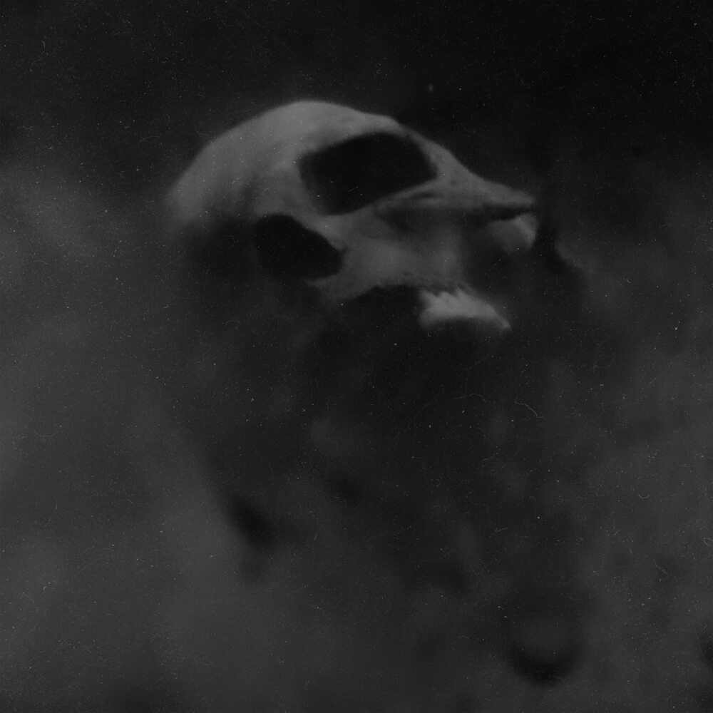 Hadopelagyal-Nereidean-Seismic-End