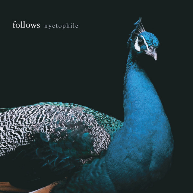 Follows-Nyctophile