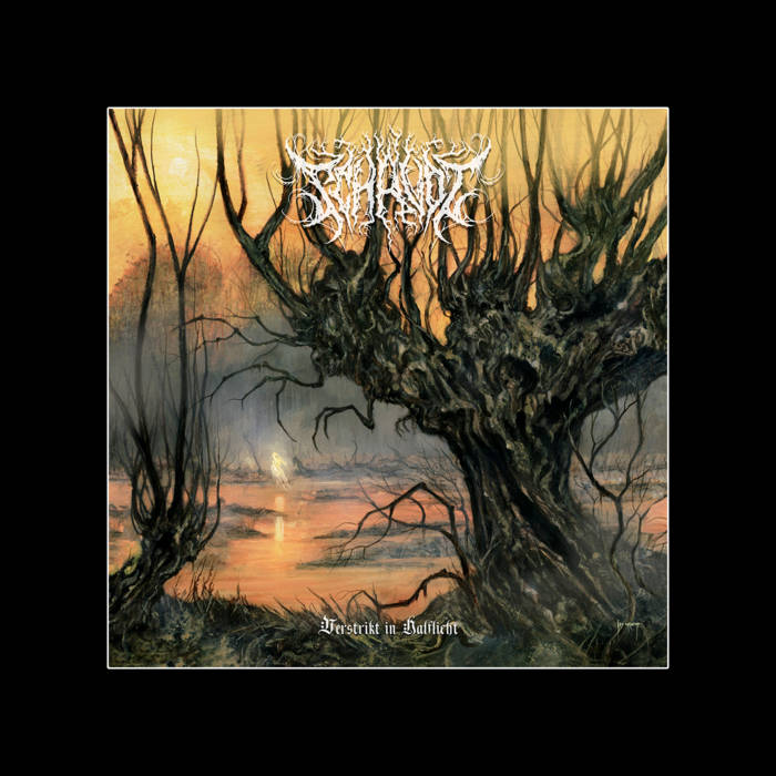 Album-terbaru-Schavot-Verstrikt-in-Halflicht