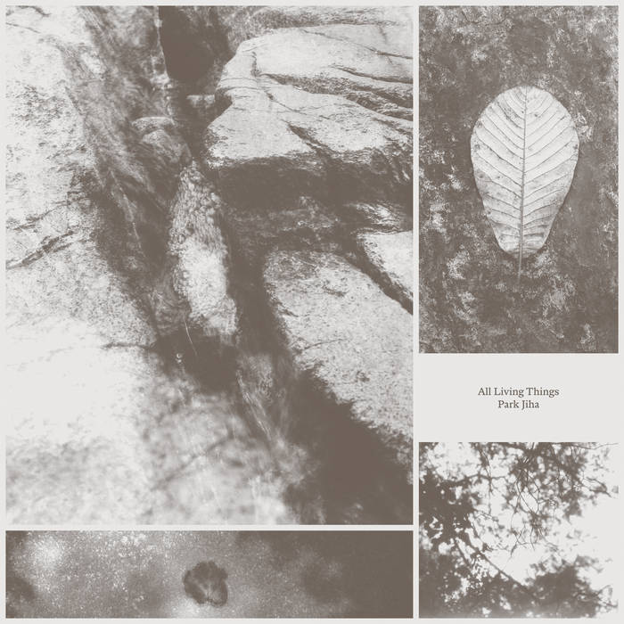 Album-terbru-Park-Jiha-All-Living-Things