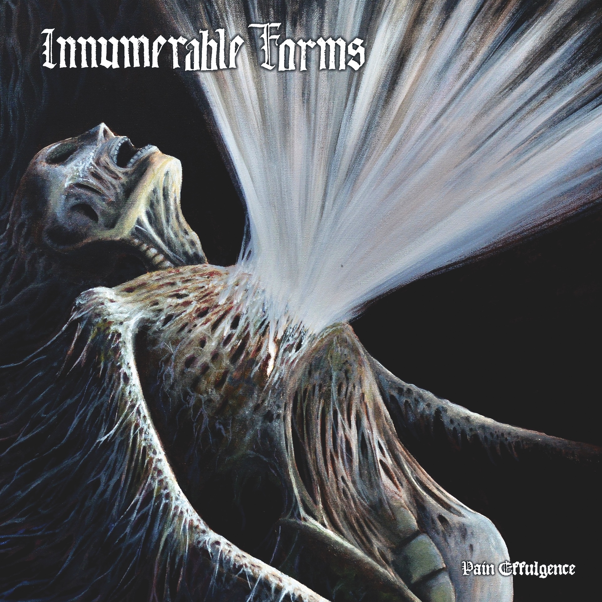Soulreaper-INNUMERABLE-FORMS-Pain-Effulgence