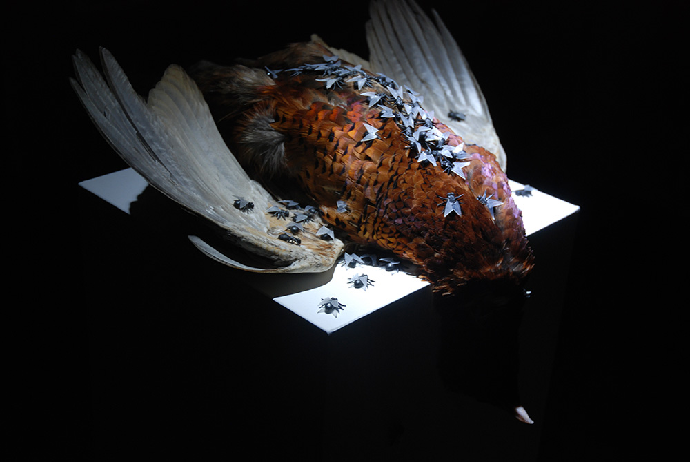 Simfoni-Russell-Haswell-Recorded-While-It-Actually-Happened